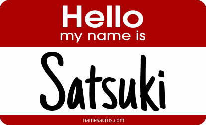 Hello my name is Satsuki png download