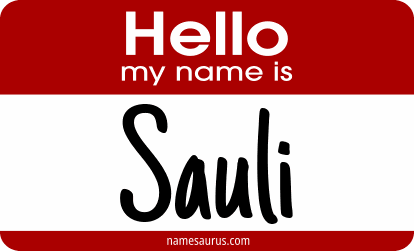 Hello my name is Sauli png download