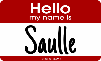 Hello my name is Saulle png download