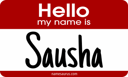 Hello my name is Sausha png download