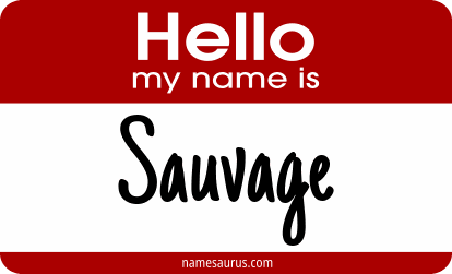 Hello my name is Sauvage png download