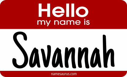Hello my name is Savannah png download