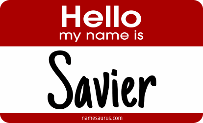Hello my name is Savier png download