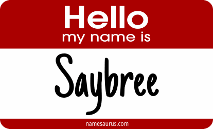 Hello my name is Saybree png download