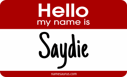 Hello my name is Saydie png download