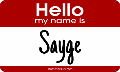 Hello my name is Sayge png download