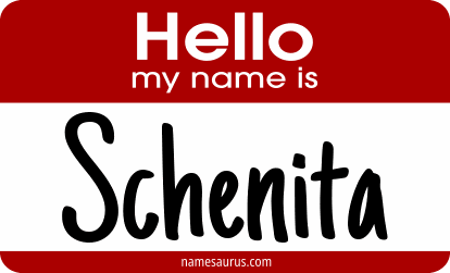 Hello my name is Schenita png download