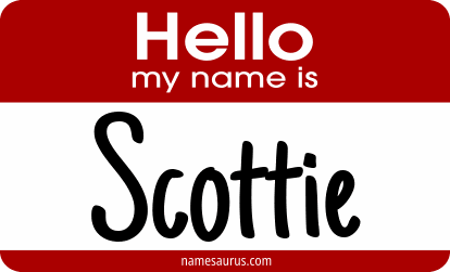 Hello my name is Scottie png download