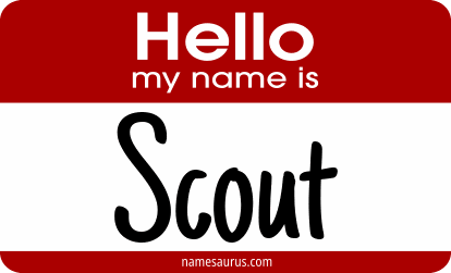Hello my name is Scout png download