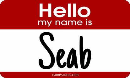 Hello my name is Seab png download