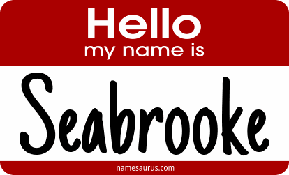 Hello my name is Seabrooke png download