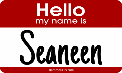 Hello my name is Seaneen png download