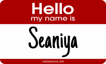Hello my name is Seaniya png download