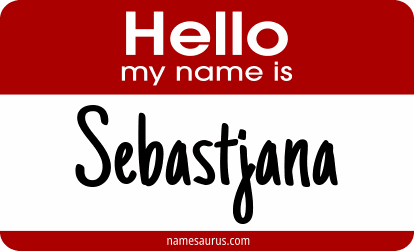 Hello my name is Sebastjana png download