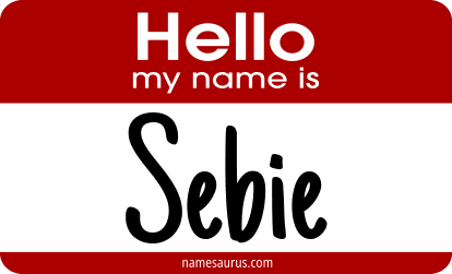 Hello my name is Sebie png download