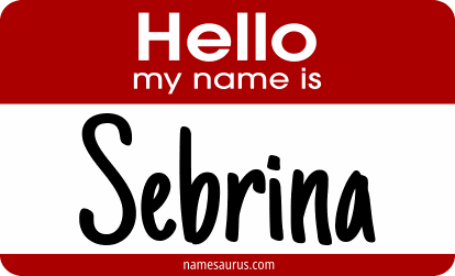 Hello my name is Sebrina png download