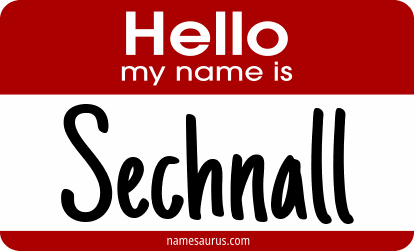 Hello my name is Sechnall png download