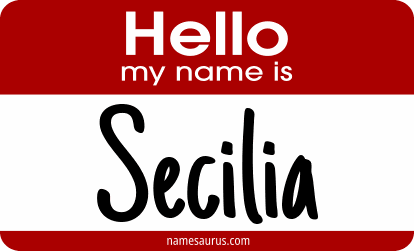 Hello my name is Secilia png download
