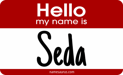 Hello my name is Seda png download