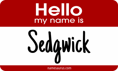 Hello my name is Sedgwick png download