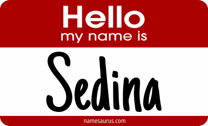Hello my name is Sedina png download
