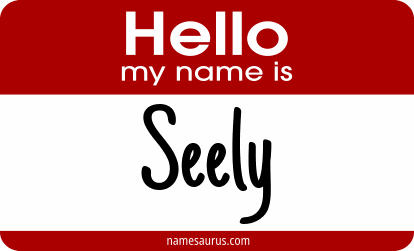 Hello my name is Seely png download