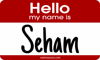 Hello my name is Seham png download