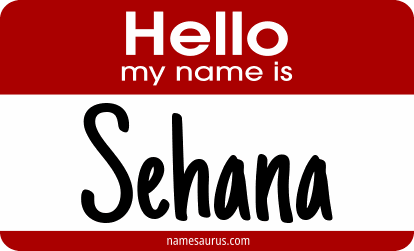 Hello my name is Sehana png download