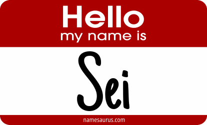 Hello my name is Sei png download