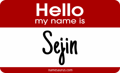Hello my name is Sejin png download