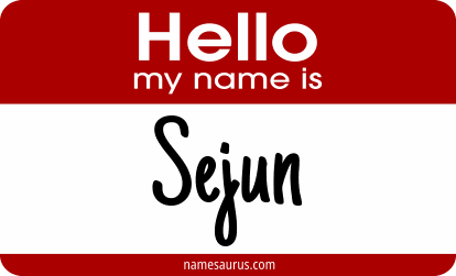 Hello my name is Sejun png download