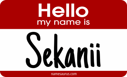 Hello my name is Sekanii png download