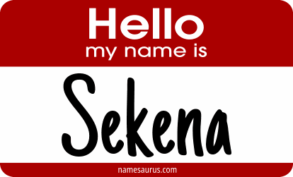 Hello my name is Sekena png download