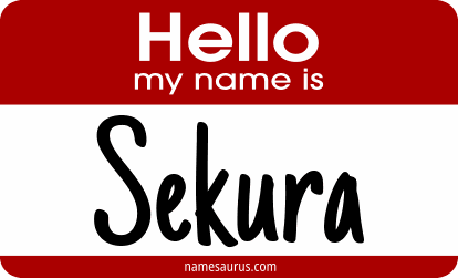Hello my name is Sekura png download