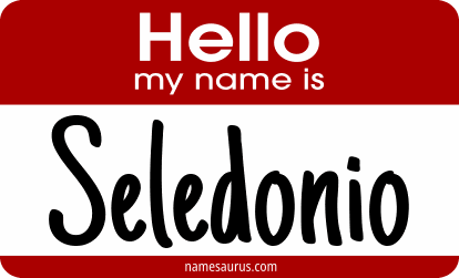 Hello my name is Seledonio png download