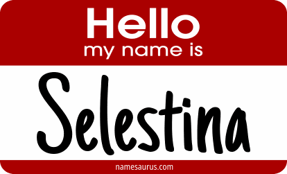 Hello my name is Selestina png download
