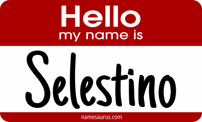 Hello my name is Selestino png download