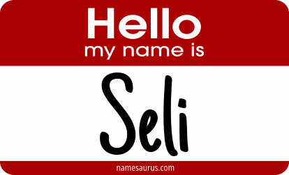Hello my name is Seli png download