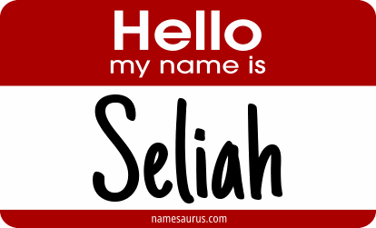 Hello my name is Seliah png download