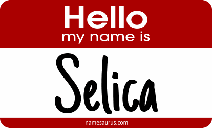 Hello my name is Selica png download