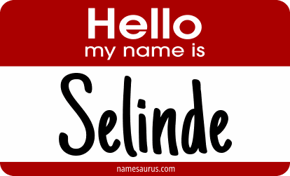 Hello my name is Selinde png download