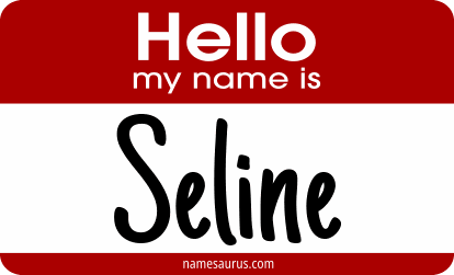 Hello my name is Seline png download