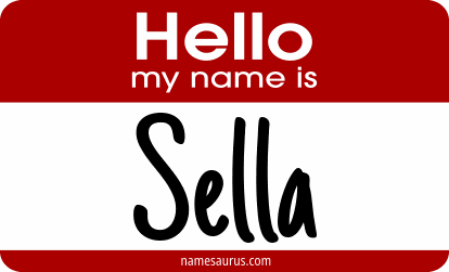 Hello my name is Sella png download