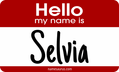Hello my name is Selvia png download