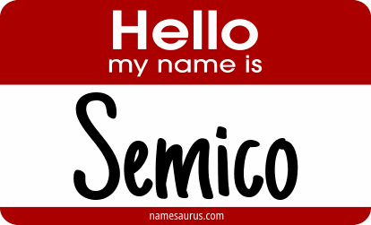 Hello my name is Semico png download