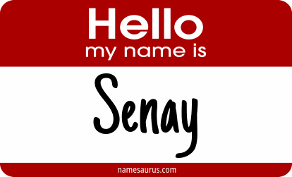 Hello my name is Senay png download