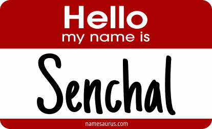 Hello my name is Senchal png download