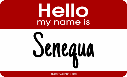 Hello my name is Senequa png download