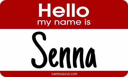 Hello my name is Senna png download