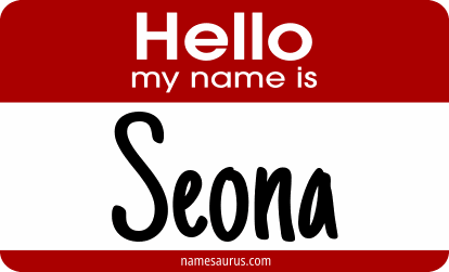 Hello my name is Seona png download